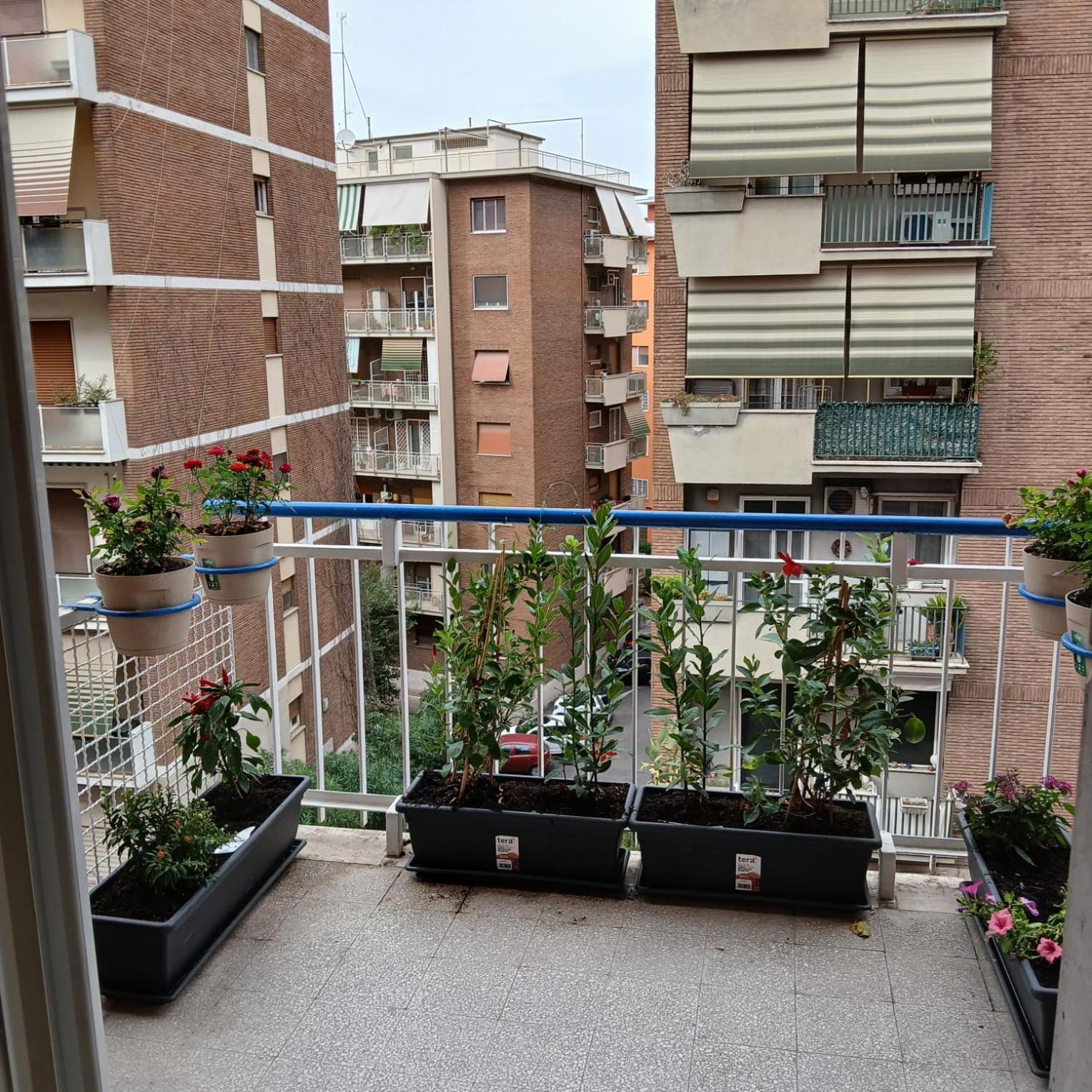Grand Nomentana Roma Apartamento Exterior foto